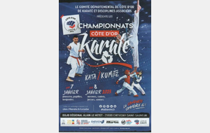 Championnats ZID Bourgogne Coupes Elite & Honneur Kata