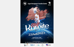 Stage Kumite