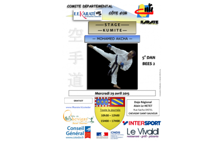 Stage Kumité 29-04-2015