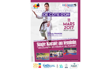Stages 11 et 12 Mars 2017